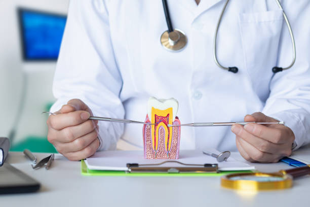 Best Mobile Emergency Dentist in Blue Springs, MO